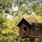 Five Creative Ideas for Making Handmade Birdhouses with Kids