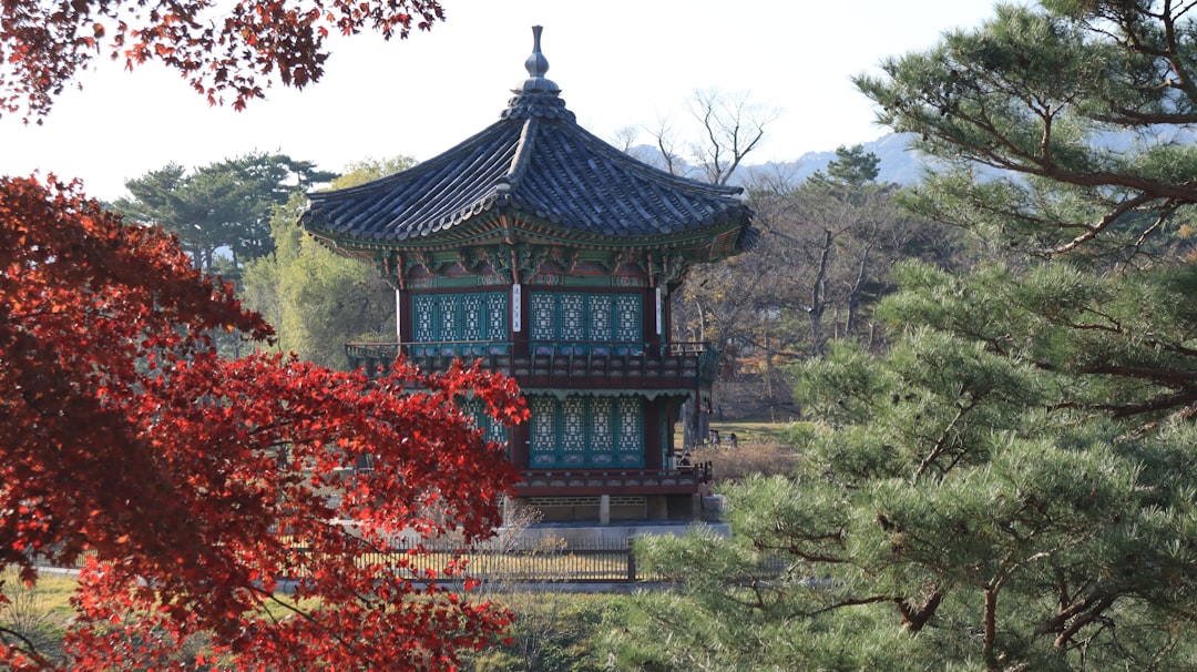Convenience Store Culture: Exploring the Allure of Korean Convenience Stores