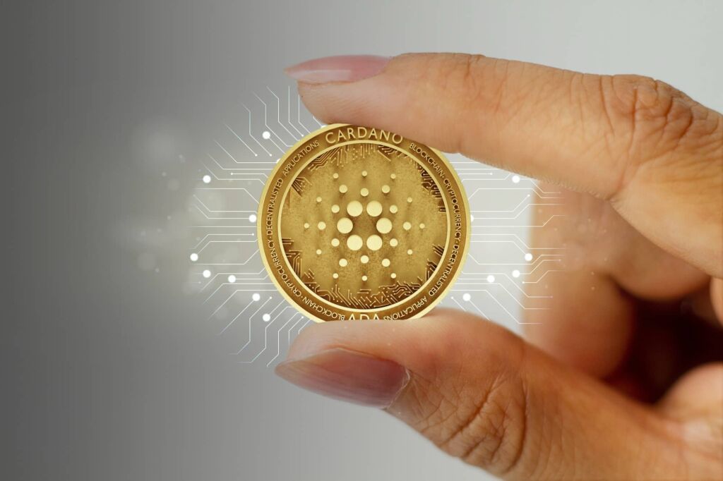 Unlocking the Potential of Nigella Coin: A Deeper Dive